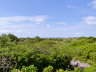 Foto der Dünenlandschaft